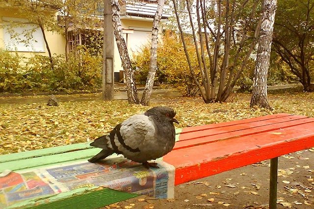 Население Свердловской области продолжает сокращаться