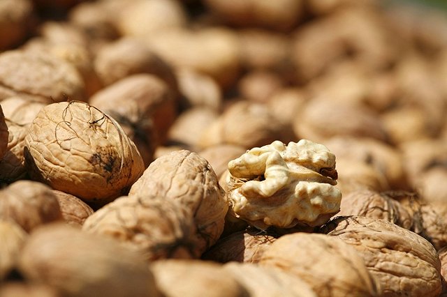 Торгпред России рассказал о потерях США от продуктового эмбарго Москвы