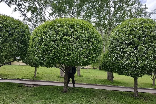 Супруга главы РМК прокомментировала ролик Алексея Навального