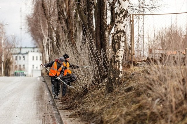 На Урале около карьера нашли человеческие черепа