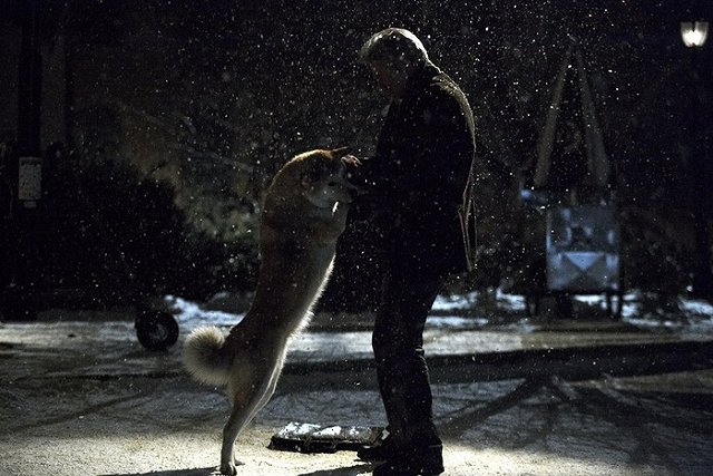 В Екатеринбурге появился свой Хатико