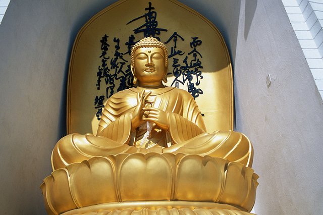 Министр спорта Дагестана получил выговор за осквернение бойцом статуи Будды