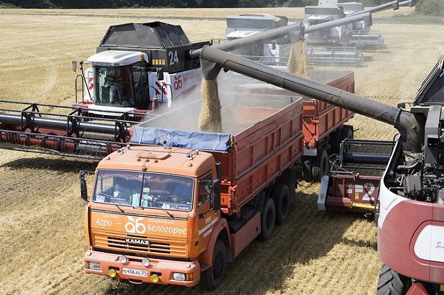 Рекордный урожай зерновых уронит цены на хлеб и макароны