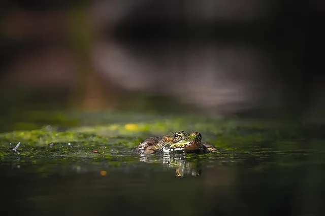 «Водоканал» заплатит 180 тыс. рублей штрафа за порчу воздуха на Химмаше