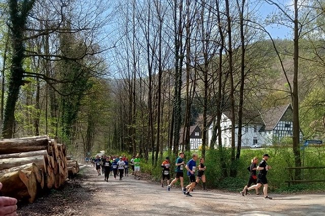 «Меньше пиксельных людей». Психологи дали советы, как провести майские праздники с пользой