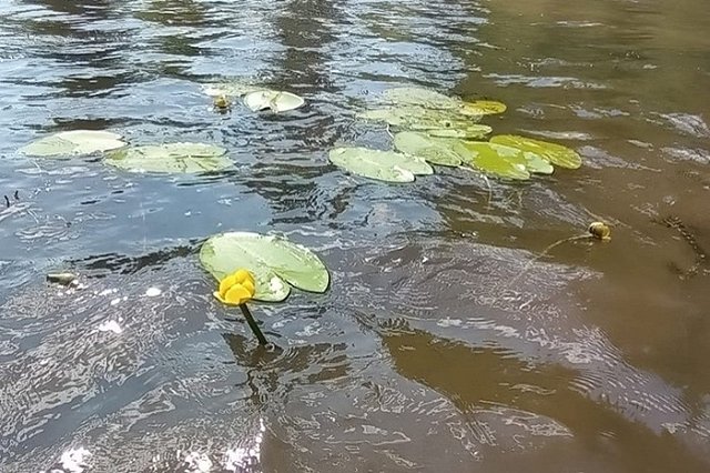 В свердловском городе утонул 7-классник