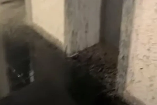 В домах на ЖБИ хулиганы изуродовали подъезды