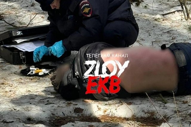 Екатеринбурженка отправилась с собакой в лес и нашла труп