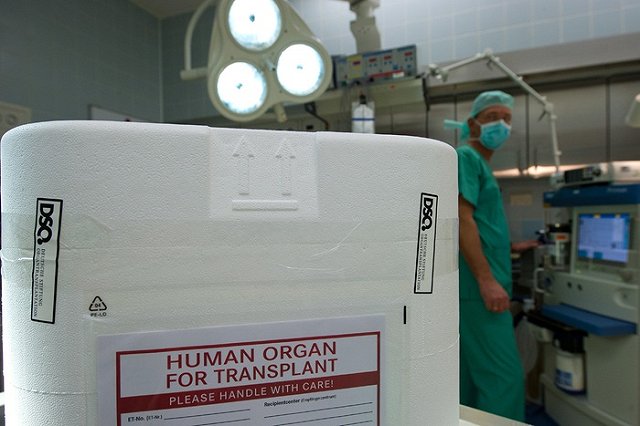 В подмосковном роддоме у младенца после смерти вырезали органы