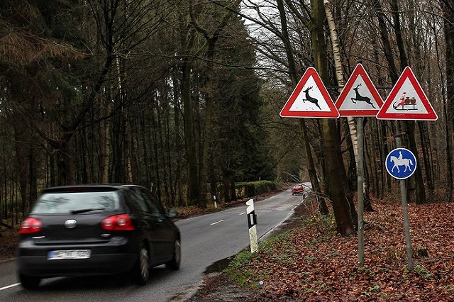 Санта-Клаус впервые посетит Екатеринбург в рамках мирового турне