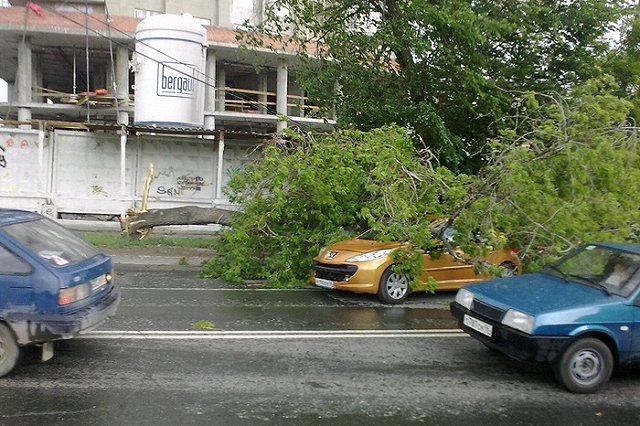 Ученые назвали причину аномальных погодных явлений