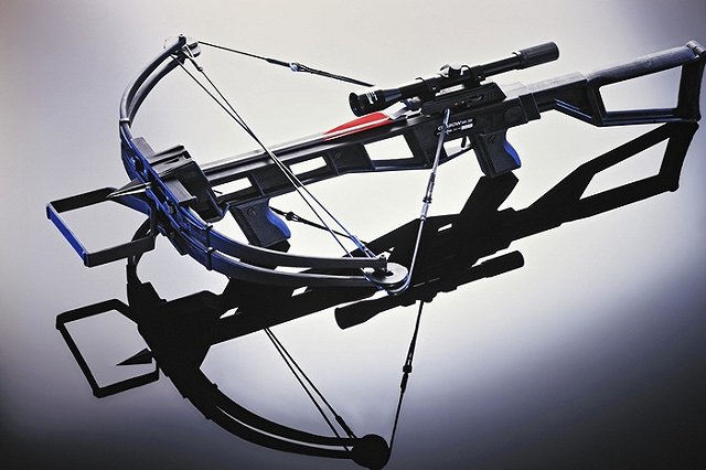 Россияне смогут охотиться с луком и арбалетом с 30 января