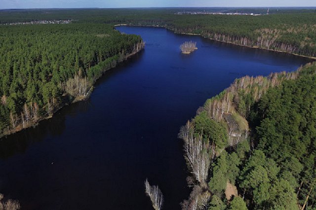 В пруду под Екатеринбургом парень прыгнул в воду и утонул