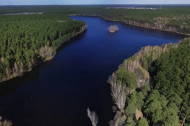 В пруду под Екатеринбургом парень прыгнул в воду и утонул