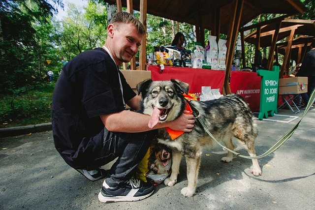 «Человек собаке дом». В ЦПКиО пройдет фестиваль в поддержку бездомных животных