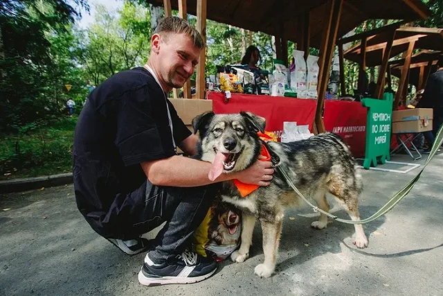 «Человек собаке дом». В ЦПКиО пройдет фестиваль в поддержку бездомных животных