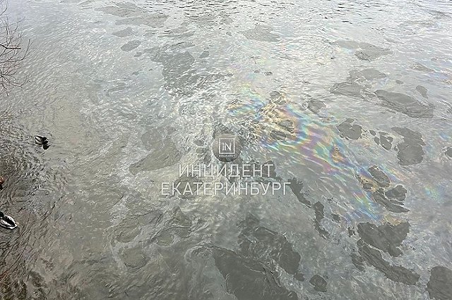 Екатеринбурженка заметила, что на Уктусе что-то сливают в Исеть