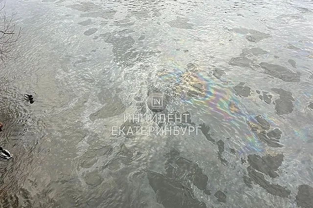 Екатеринбурженка заметила, что на Уктусе что-то сливают в Исеть