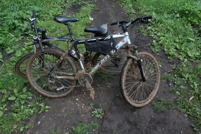 Около восьми тысяч велосипедистов приняли участие в «Майской прогулке»