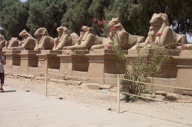 Российских туристов не было в Луксоре на момент теракта