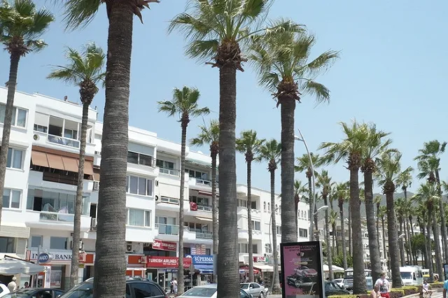 В Турции смертник подорвал полицейский участок