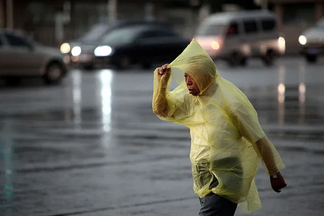 Синоптики: во время матча Мексика — Швеция ожидается гроза и шквалистый ветер