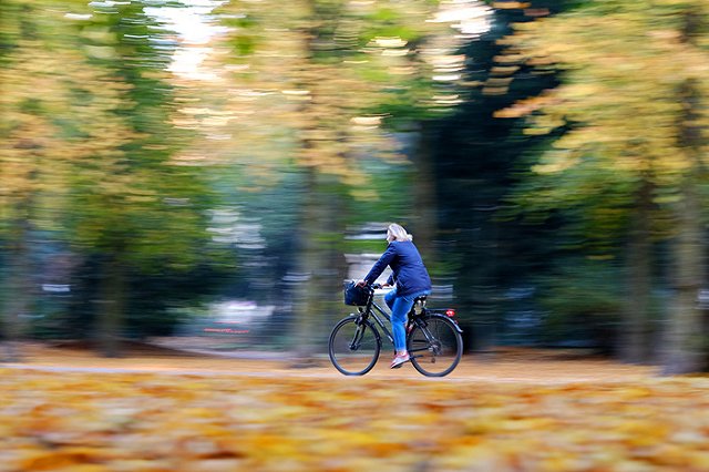 Вдоль проспекта Космонавтов появилась велодорожка