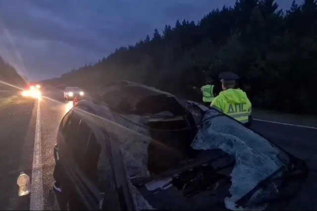 На Серовском тракте семья по пути на море насмерть сбила лошадь