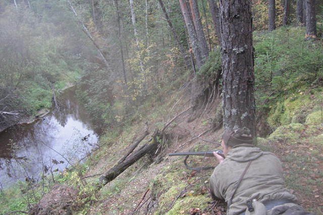 ГУ МВД выступило с комментарием по поводу задержания полицейского-браконьера