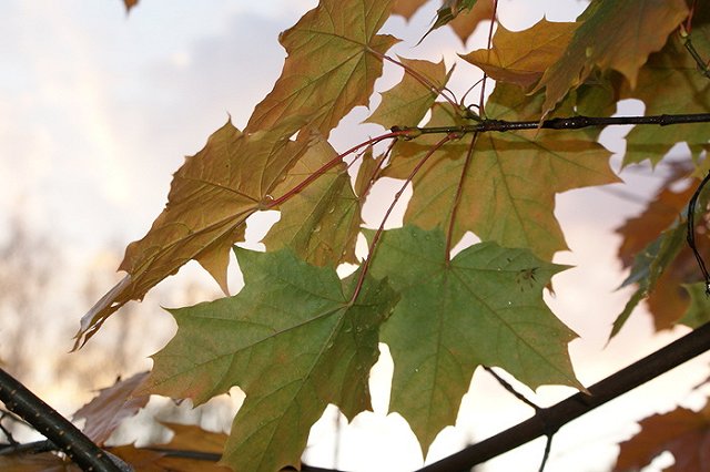 Четвертый этап пуска теплоснабжения стартовал в Екатеринбурге