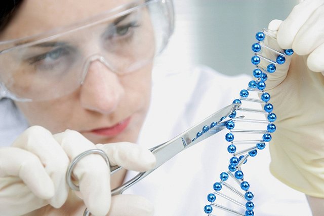 Генетически модифицированные люди будут бессмертны и опасны?