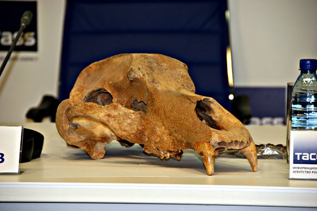 Прогулка среди могил: археологический сезон на Урале подошёл к концу