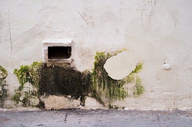 На стены домов Екатеринбурга возвращается реклама наркотиков