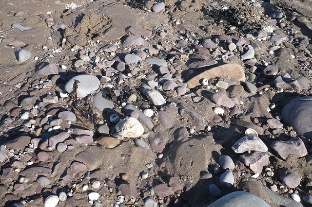 Житель Салехарда продает свою однушку за биткоины