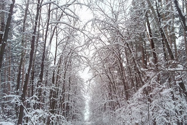 Морозная погода в ближайшие три дня сохранится в Екатеринбурге