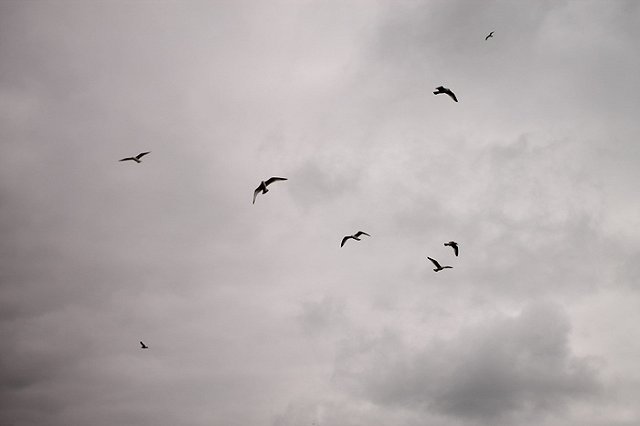 Майская погода: на Урал идёт холод