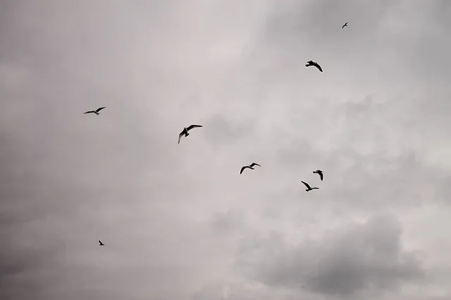 Майская погода: на Урал идёт холод