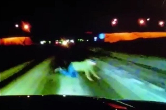 Погибший на трассе мужчина ползком возвращался домой из больницы с высокой температурой