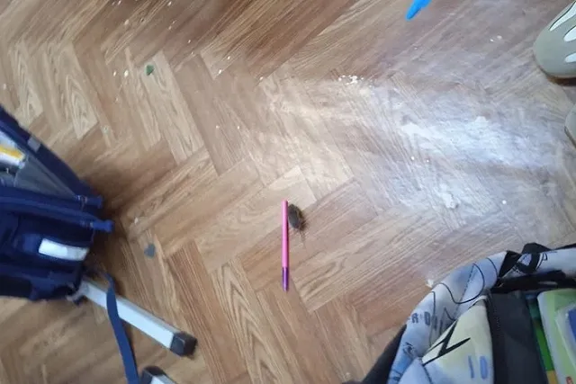 В Екатеринбурге на урок к первоклассникам заглянули мыши