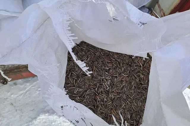 В Екатеринбург прибыл железнодорожный состав с китайскими семечками