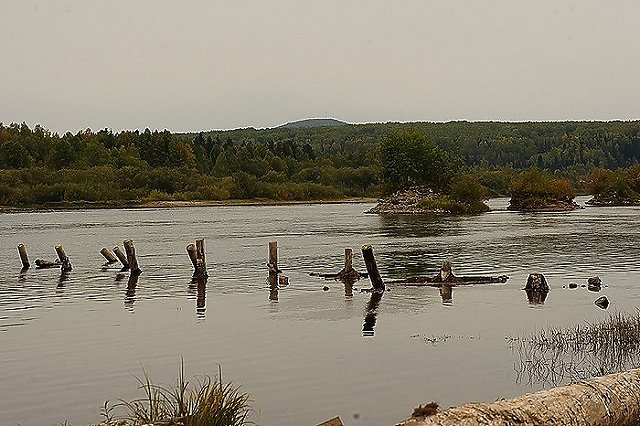 Под Екатеринбургом нашли крайне загрязнённую реку