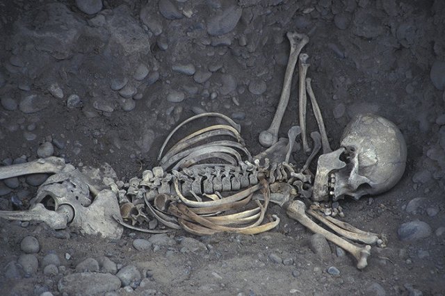 На Урале спустя 15 лет после исчезновения женщины назначена ДНК-экспертиза