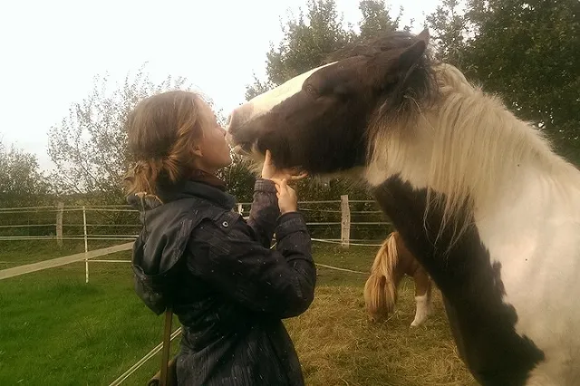 Студентка из Екатеринбурга открыла свою конюшню в Германии