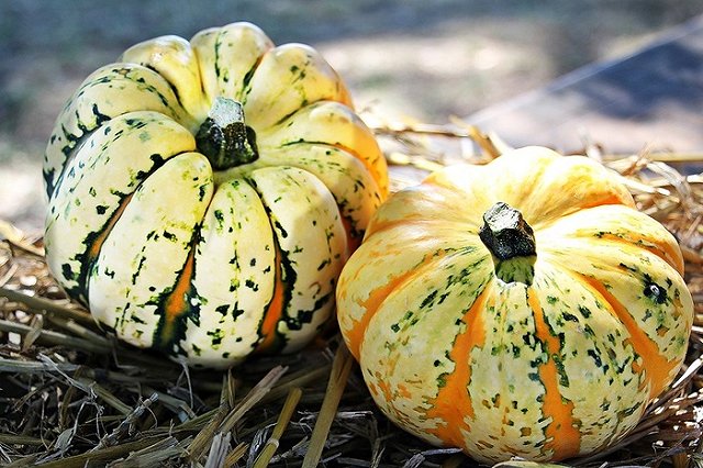Сегодня вечером парковку на площади 1905 года закроют