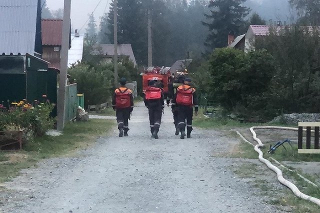 Под Первоуральском загорелось поле в районе жилых домов