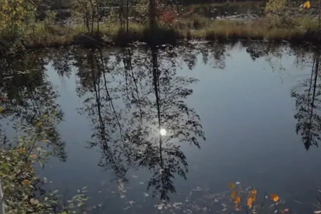 Под Выборгом обнаружили воронку от взрыва и труп мужчины неподалеку