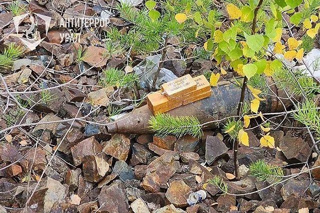 В лесу под Екатеринбургом нашли взрывоопасный снаряд