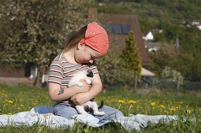 На фестивале «О, да! Еда!» в Екатеринбурге откроется ресторан для кошек