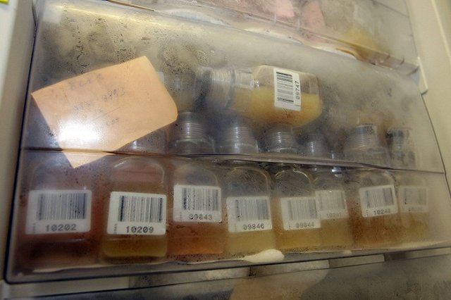 Глава WADA назвал ударом исподтишка открытое письмо МОК о докладе Макларена