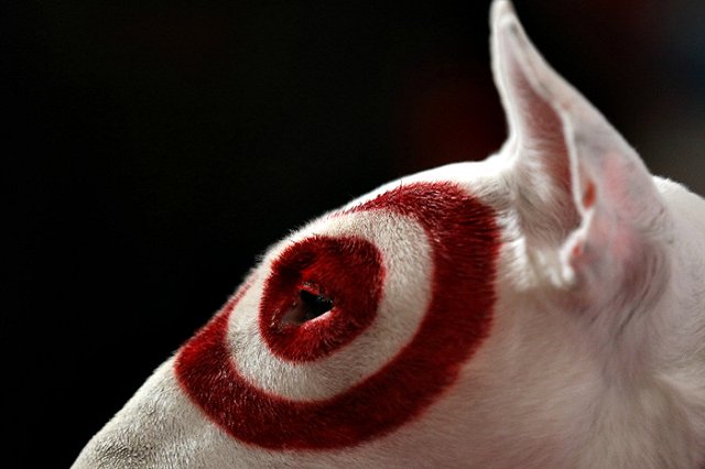 Чёткое попадание. Яндекс запустил новую версию поиска